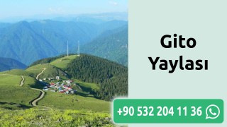 Gito Yaylası